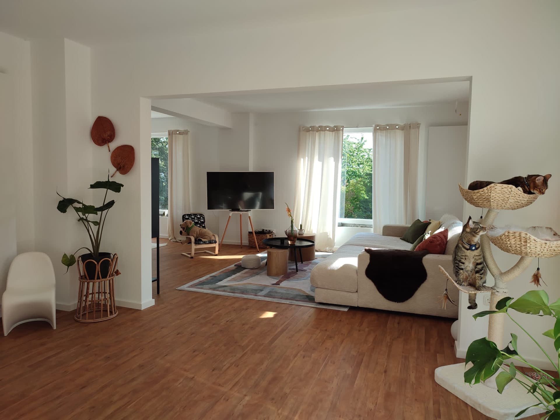 Renovierter, heller Wohnbereich in Veltheim